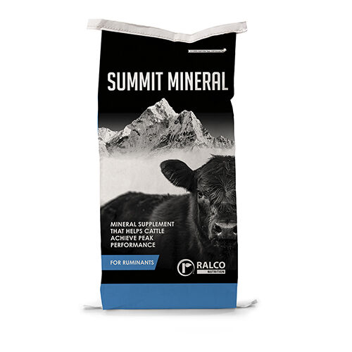 CN Ralco Summit Mineral